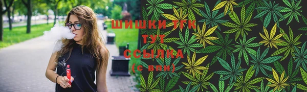 spice Вяземский