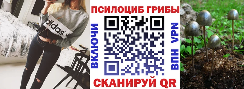Псилоцибиновые грибы GOLDEN TEACHER Зима